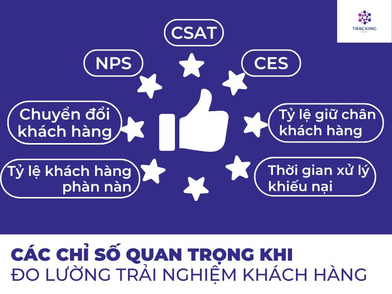 Các chỉ số quan trọng khi đo lường CX